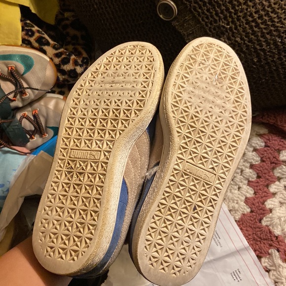 Pumas - Picture 3 of 4